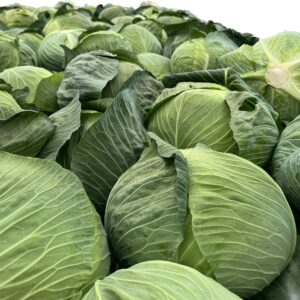 DEVATOR F1 BEYAZ LAHANA FİDESİ