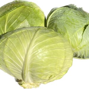 SEPTİMA F1 BEYAZ LAHANA FİDESİ